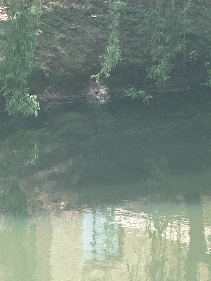 walking near me in Willem Conradie Park in summer