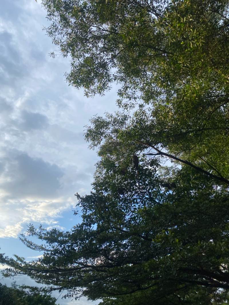 walking near me in Bandar Sungai Long SL6 Park in winter