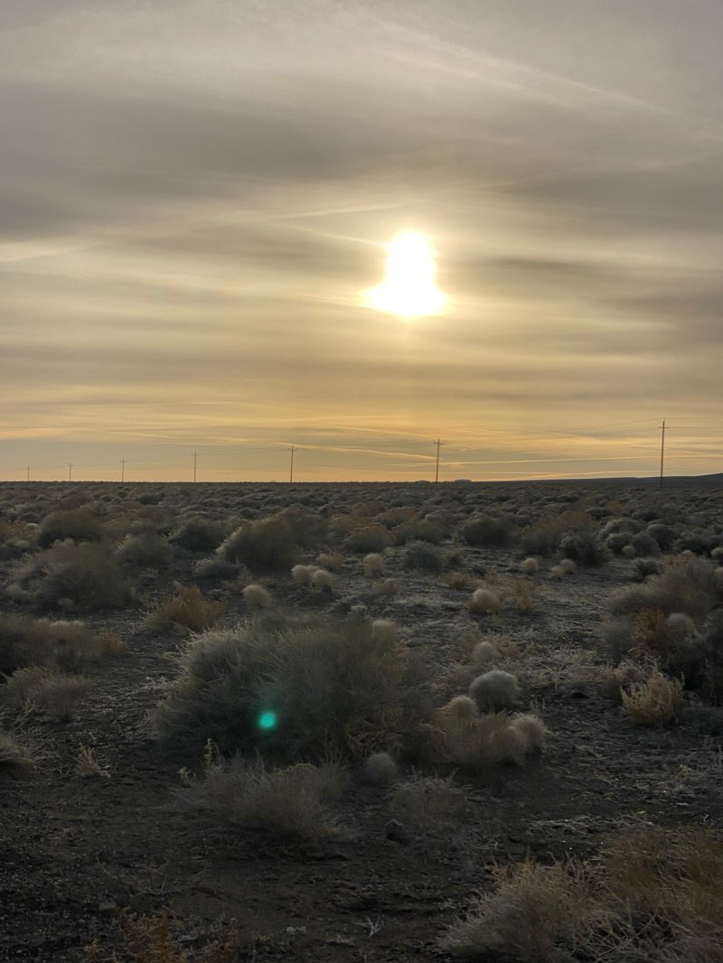 walking near me in Ponderosa Park in winter