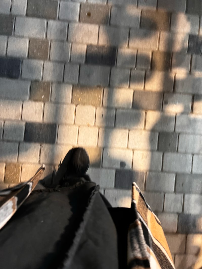 walking near me in Парк Свободы in winter