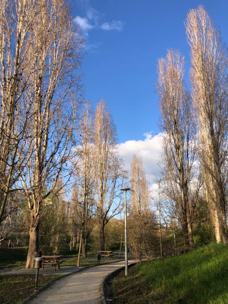 walking near me in Parque Rio da Costa in winter