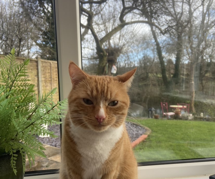 jkhawksworth profile