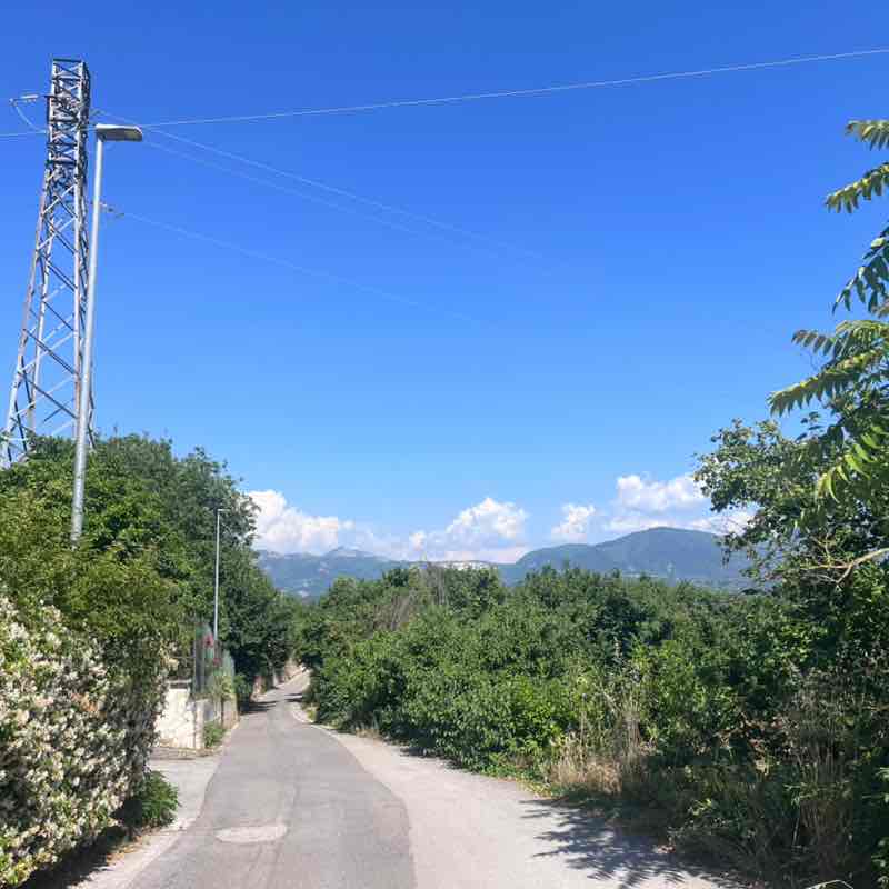 🇮🇹KUMQUAT🇮🇹 Lello Pie’ post image