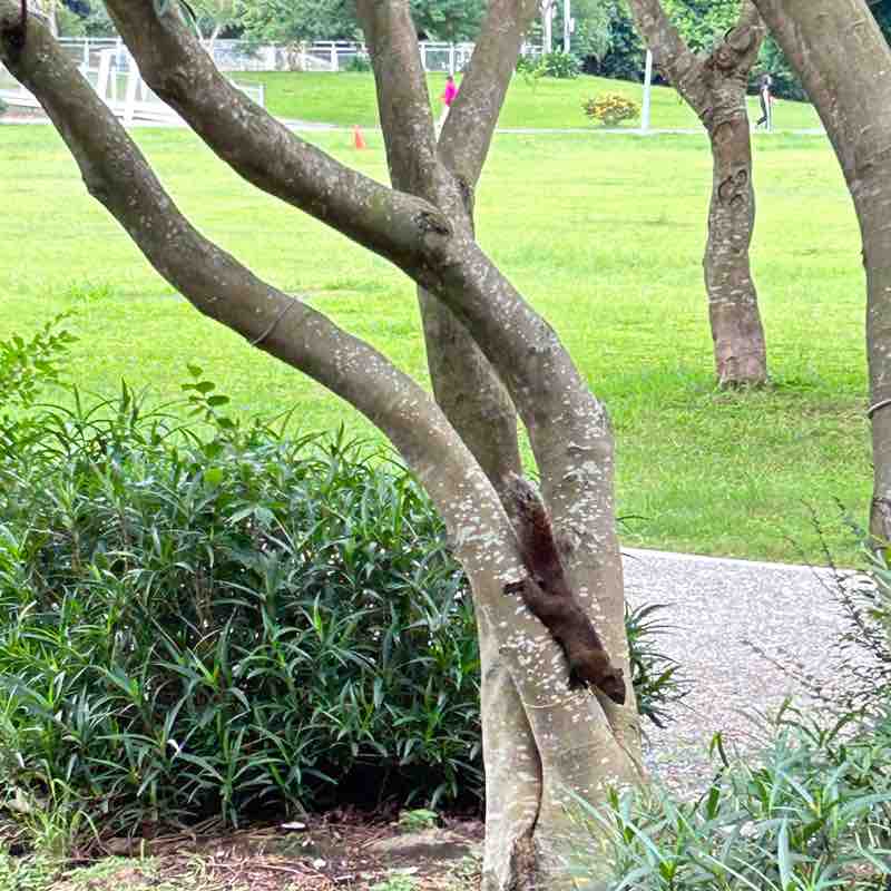 商品部 蘇方怡 post 3