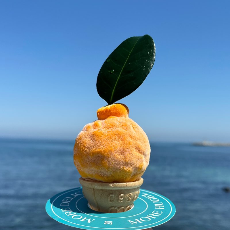 財務部陳郁儒 profile