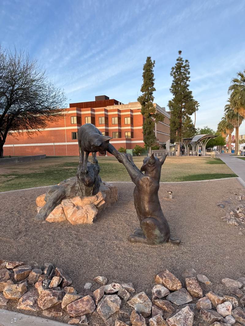 walking near me in The Main Mall in spring