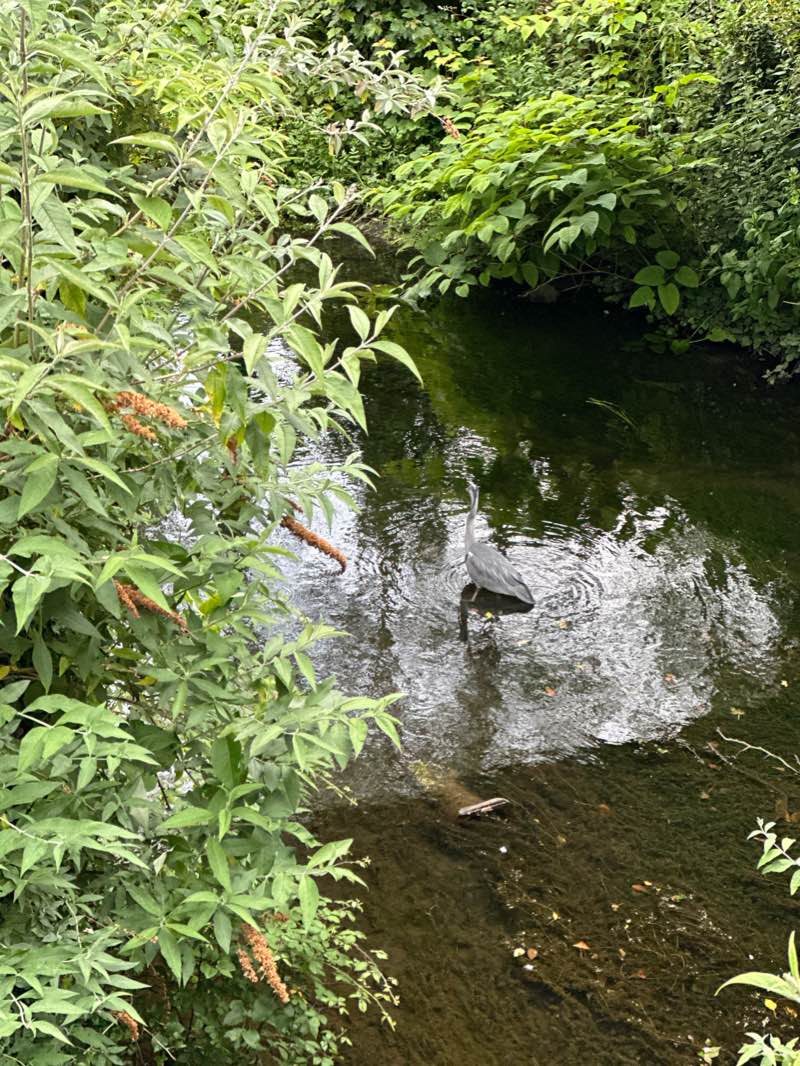 walking near me in Terryland Forest Park in winter