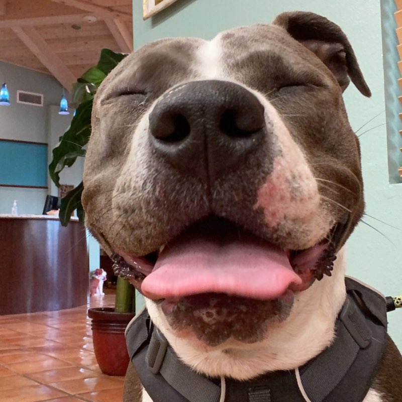 EllsBells555 profile