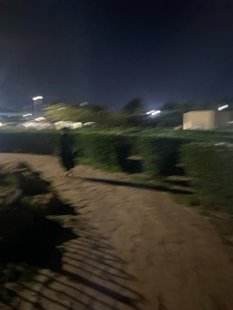 walking near me in Ahmadi Garden in winter