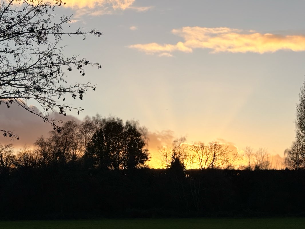 walking near me in Marsh Meadows in autumn