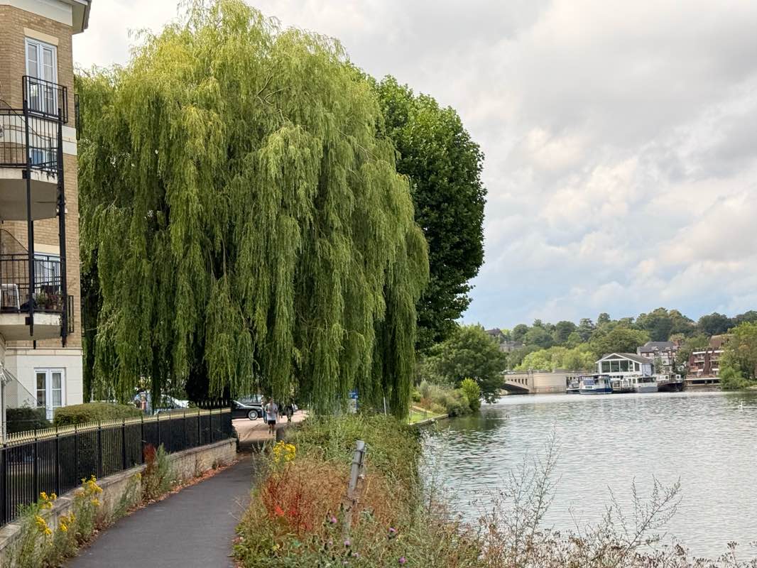 walking near me in Christchurch Meadows in autumn