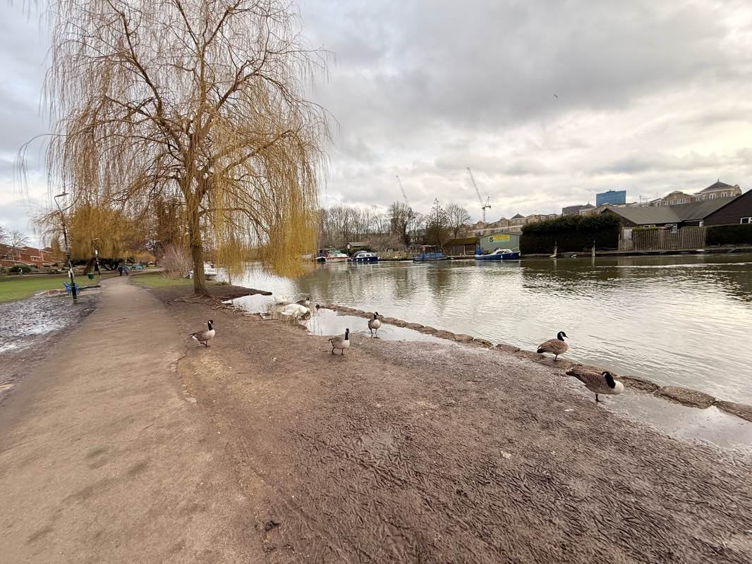 walking near me in Christchurch Meadows in winter