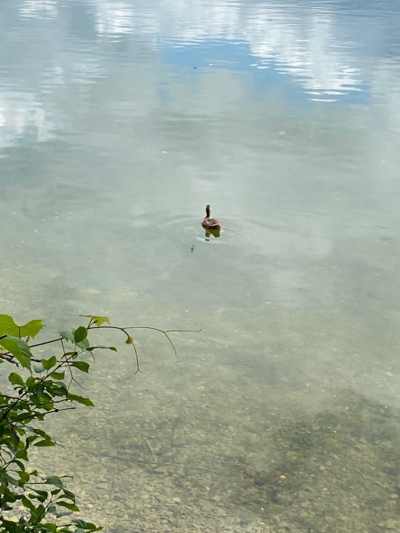 walking near me in Dunes Beach Day Use Area Sandbanks Provincial Park in winter