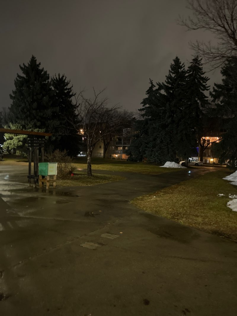 walking near me in Oliver Park in autumn