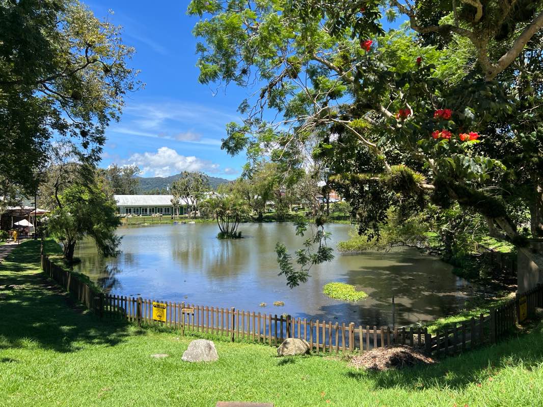 walking near me in Plaza Mayor in autumn