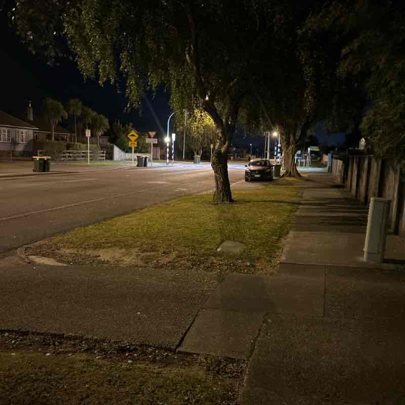 Mele Tonga Grant post 1