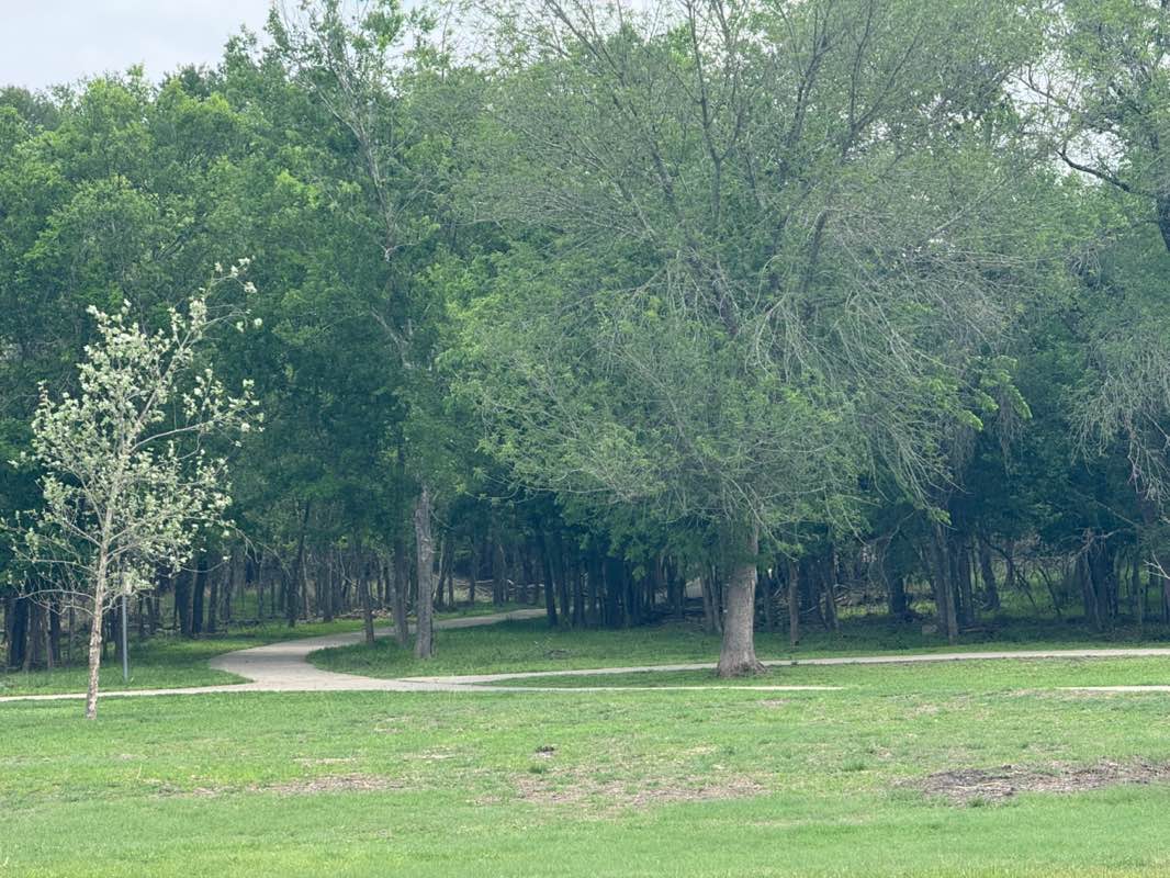 walking near me in Woodcrest Park in spring