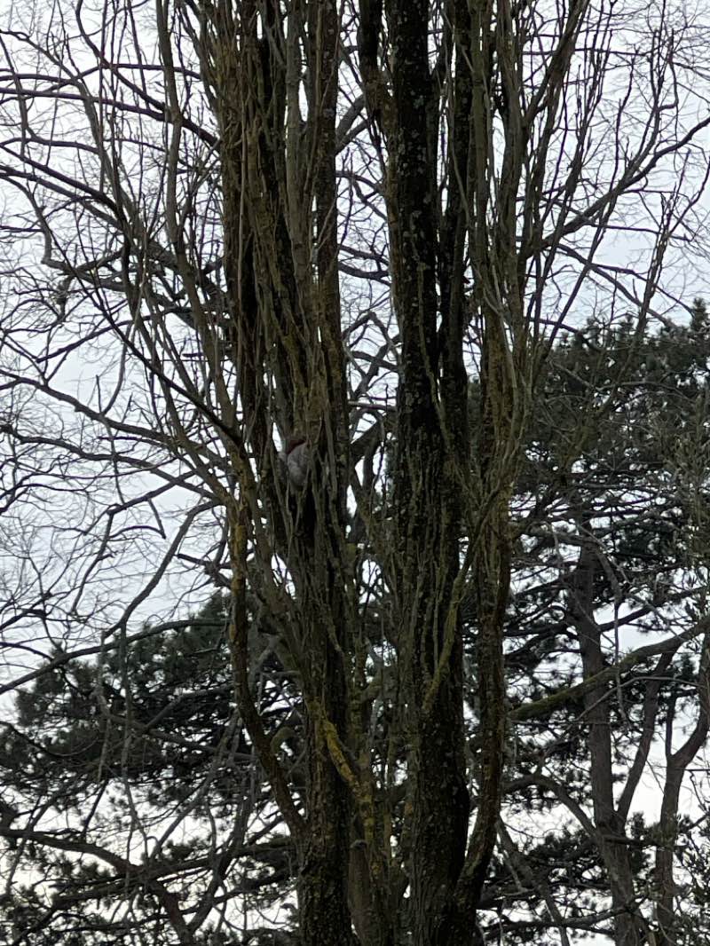 walking near me in Castle Green in winter