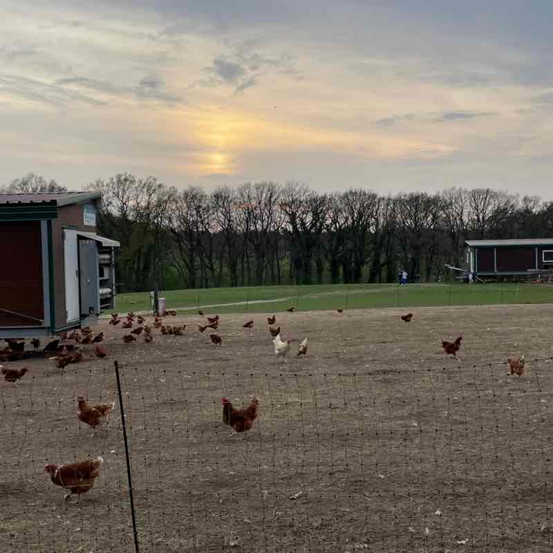 🇹🇷PACERS IN TURKEY🇹🇷 Berrin post image