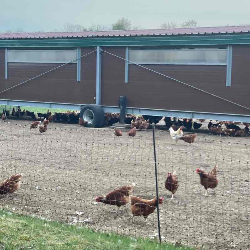 🇹🇷PACERS IN TURKEY🇹🇷 Berrin post image