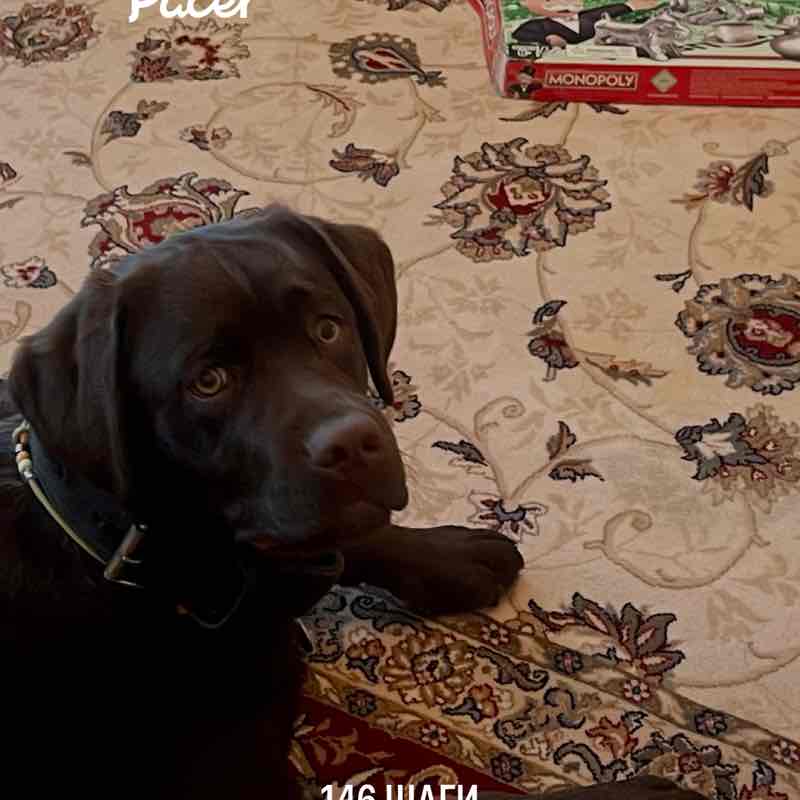 BETTY🐶 post 1