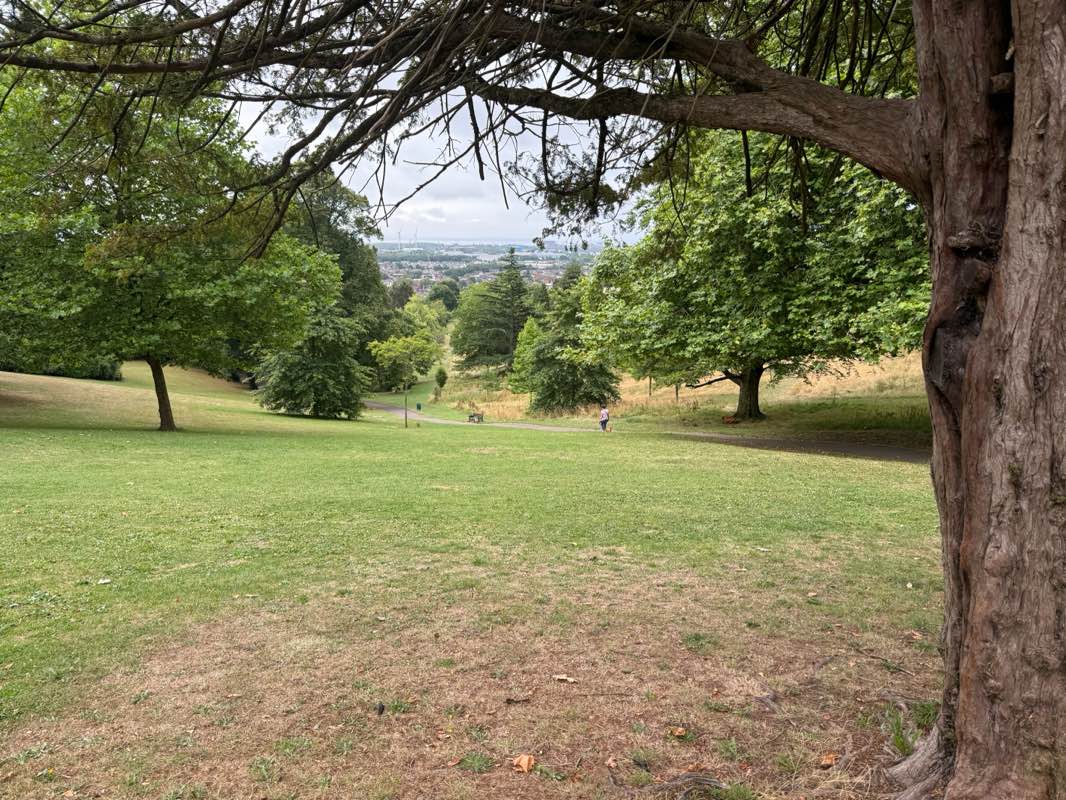 walking near me in Beechwood Park in autumn
