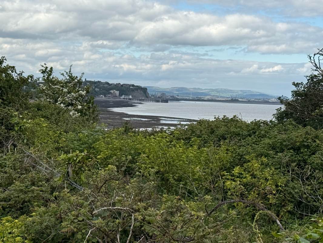 walking near me in Cliff Walk in spring