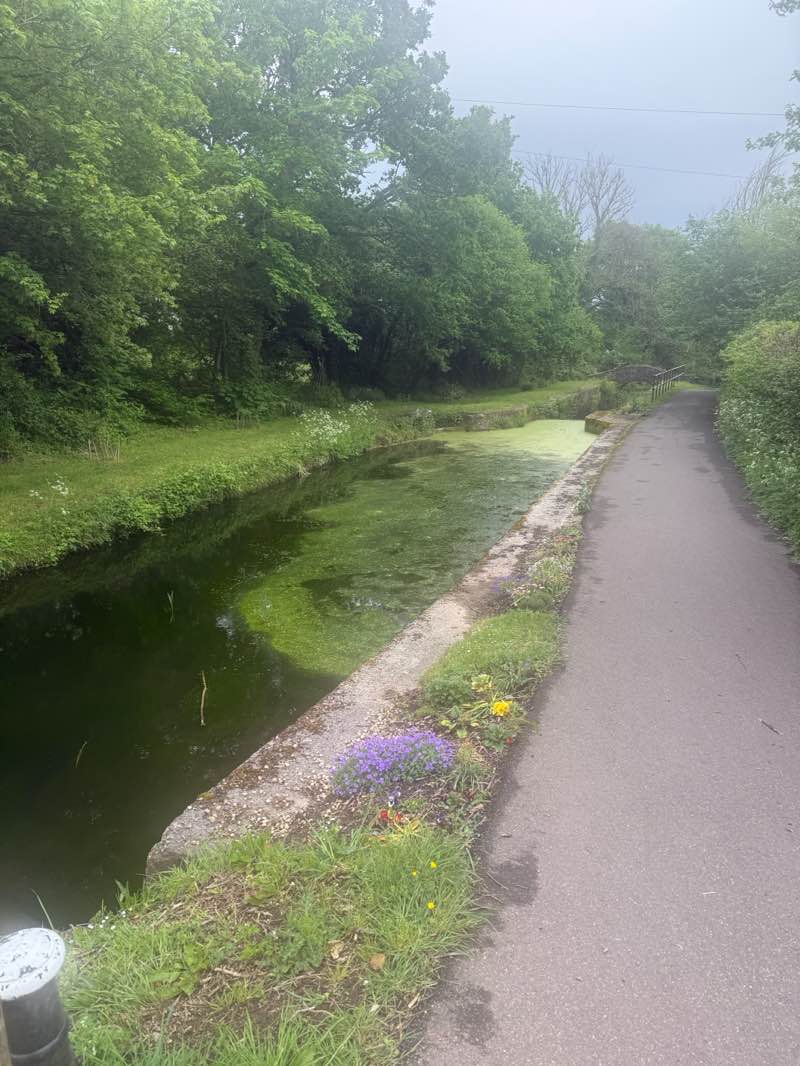 walking near me in Cwmbran Park in spring