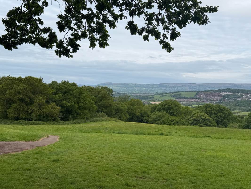 walking near me in Beechwood Park in spring