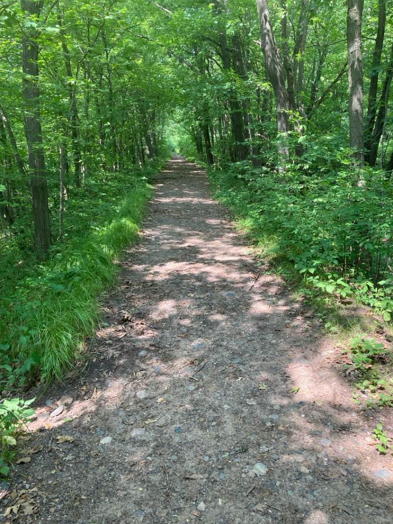 walking near me in Interstate State Park in summer