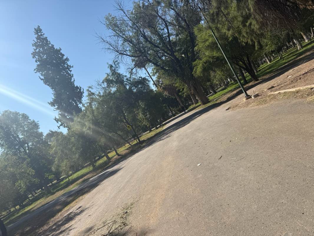 walking near me in Bosque Venustiano Carranza in autumn