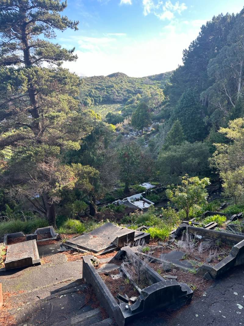 walking near me in Hewer Crescent Reserve in summer