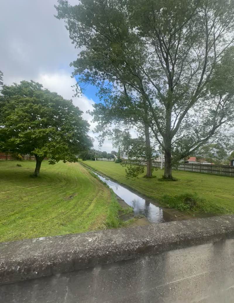 walking near me in Naenae Park in spring