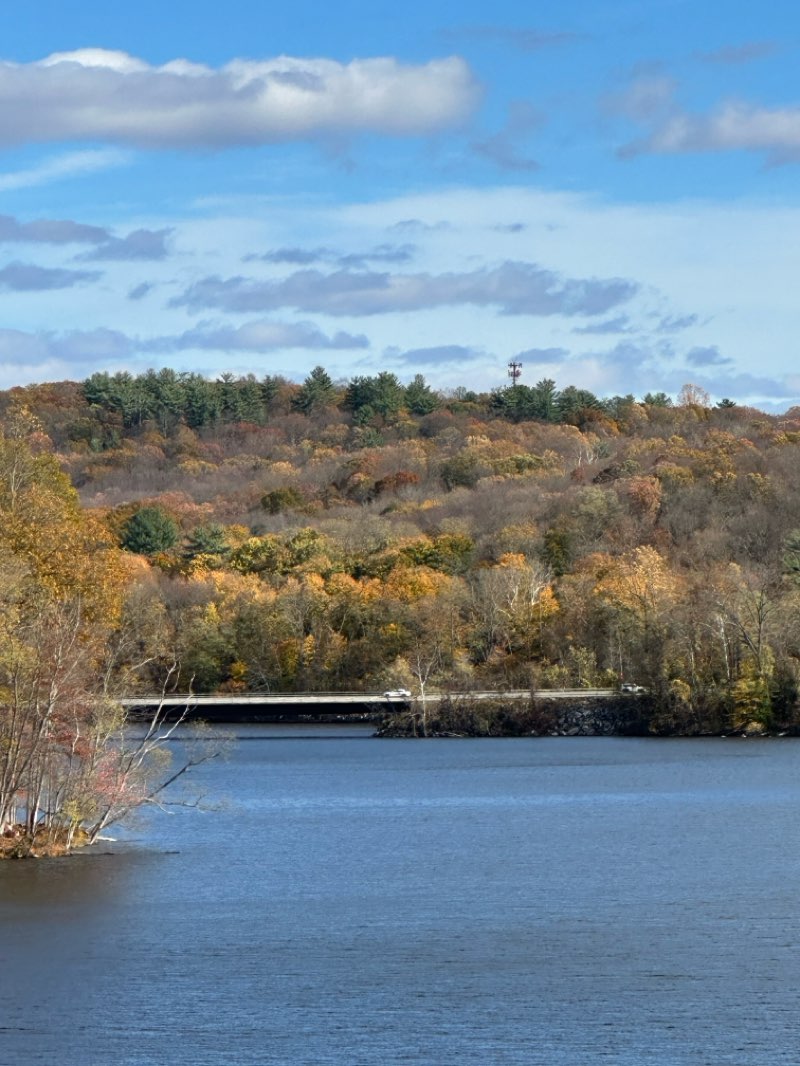 walking near me in Walter W. Law Memorial Park in autumn