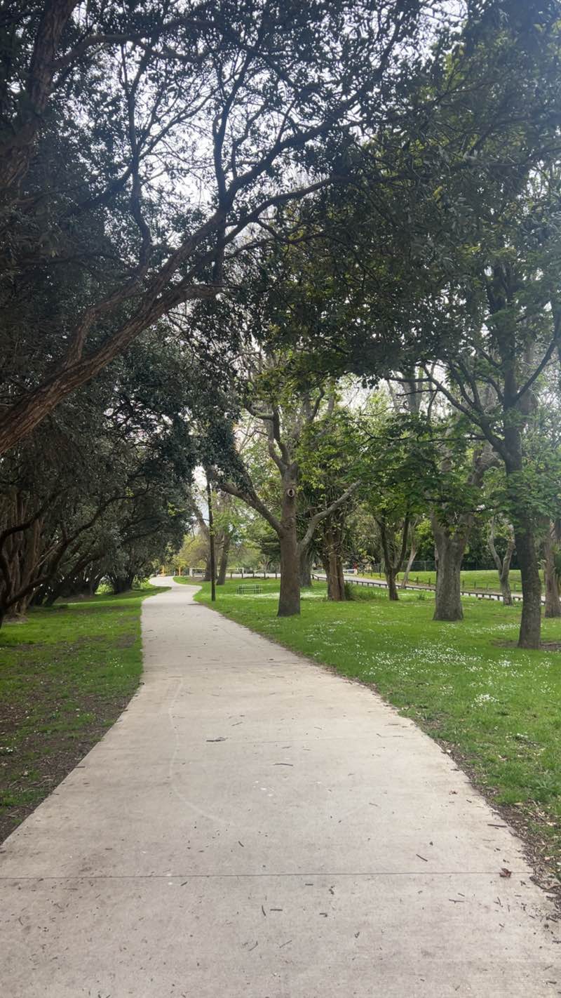 walking near me in Moutoa Gardens in spring