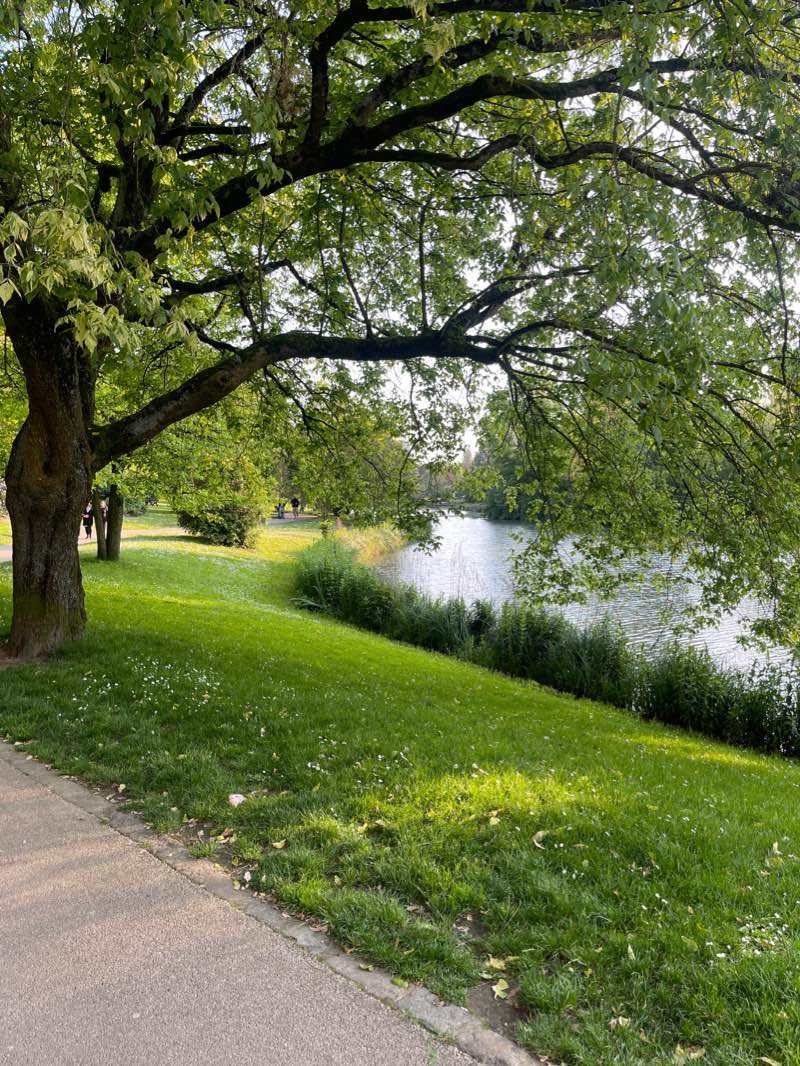 walking near me in Parc Barbieux in winter