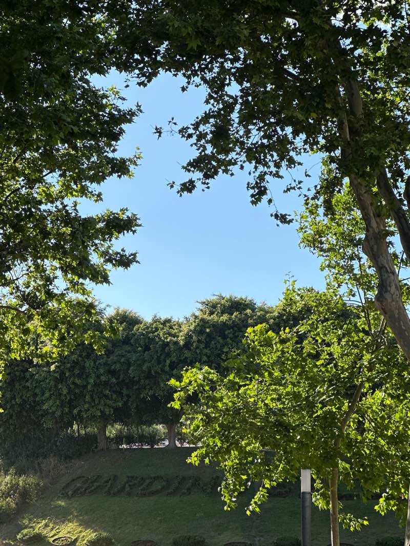 walking near me in Villa Bellini in summer