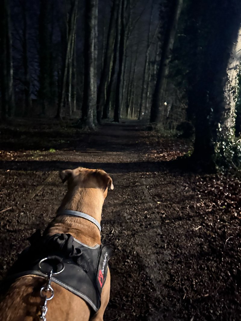 walking near me in Leagrave Common in winter