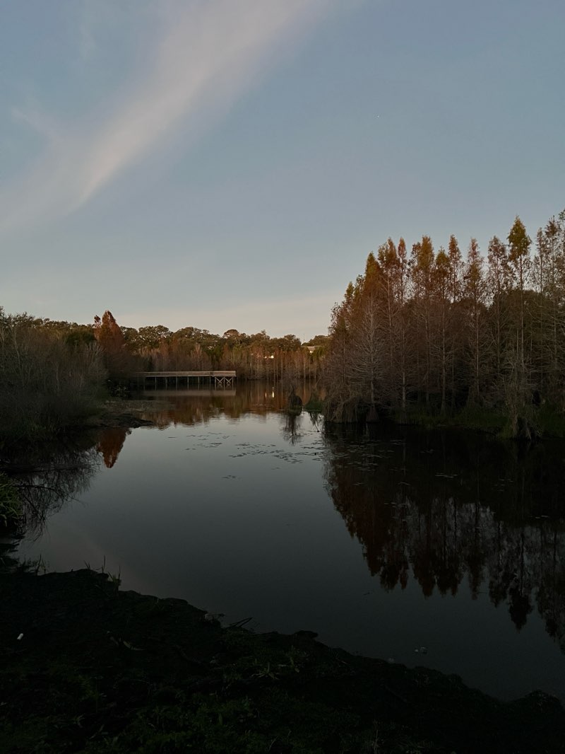 walking near me in Kapok Park in winter
