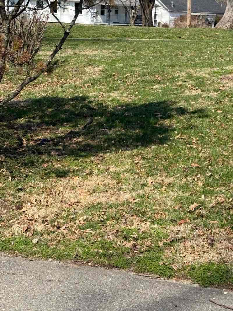 walking near me in Baker Park in spring