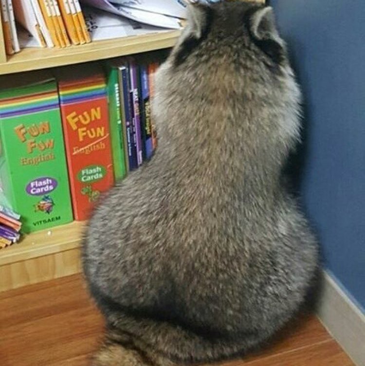 april 🏃🏻‍♀️💨 profile