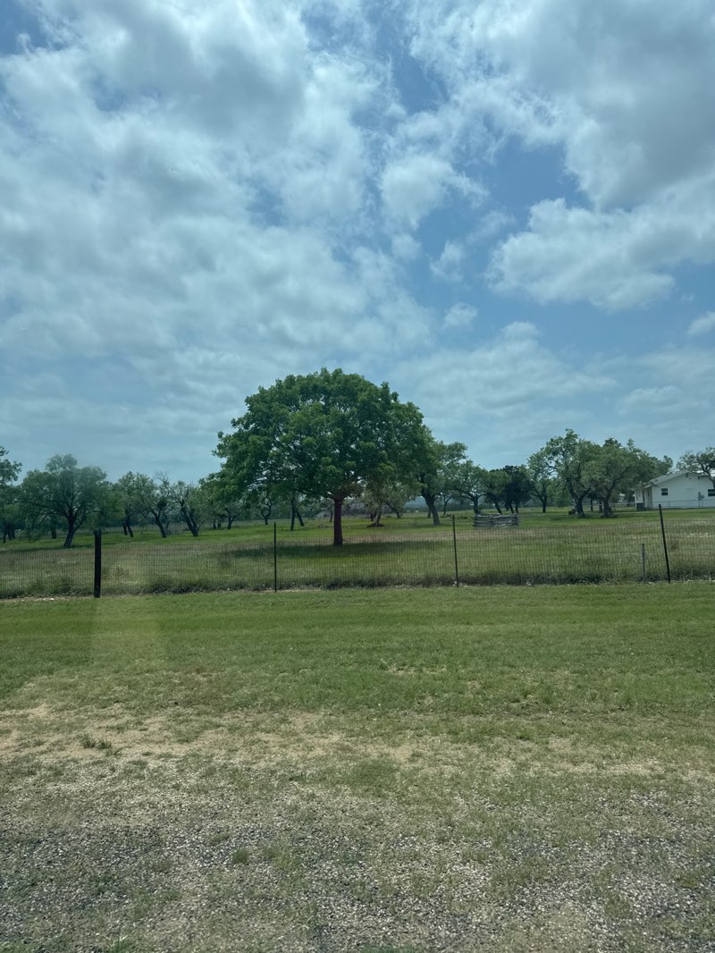 walking near me in Lady Bird Johnson Municipal Park in spring