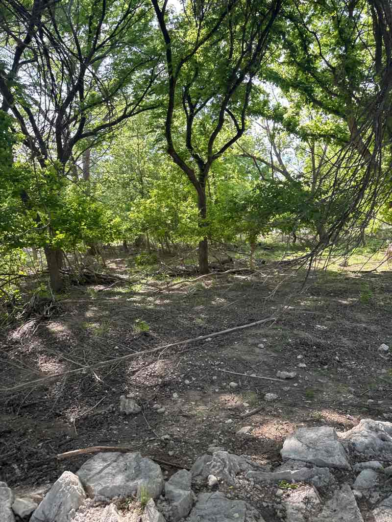 walking near me in Tranquility Island in spring