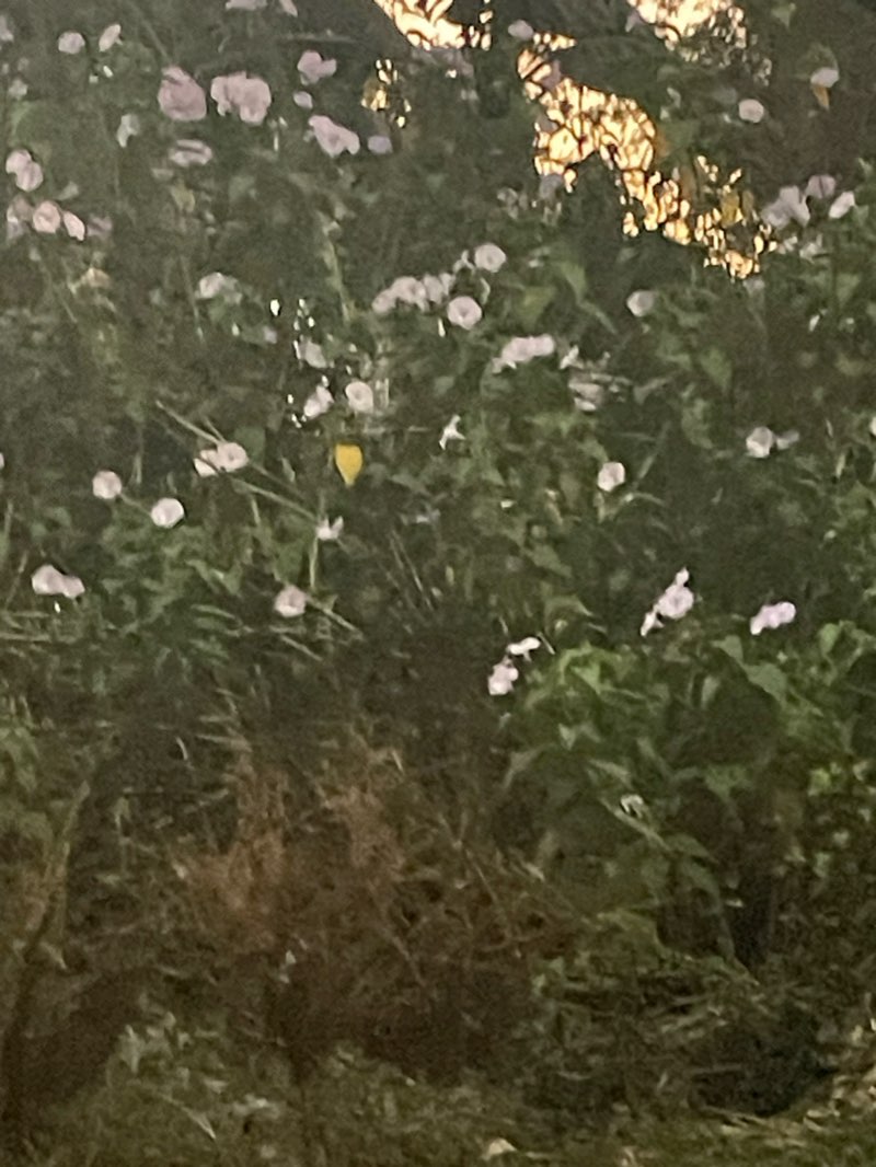 walking near me in Grotto Shrine in winter