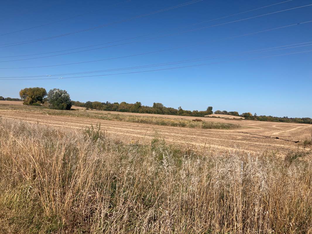 walking near me in Rambling River Park in winter