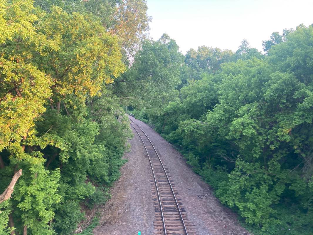 walking near me in Victoria Park South in winter