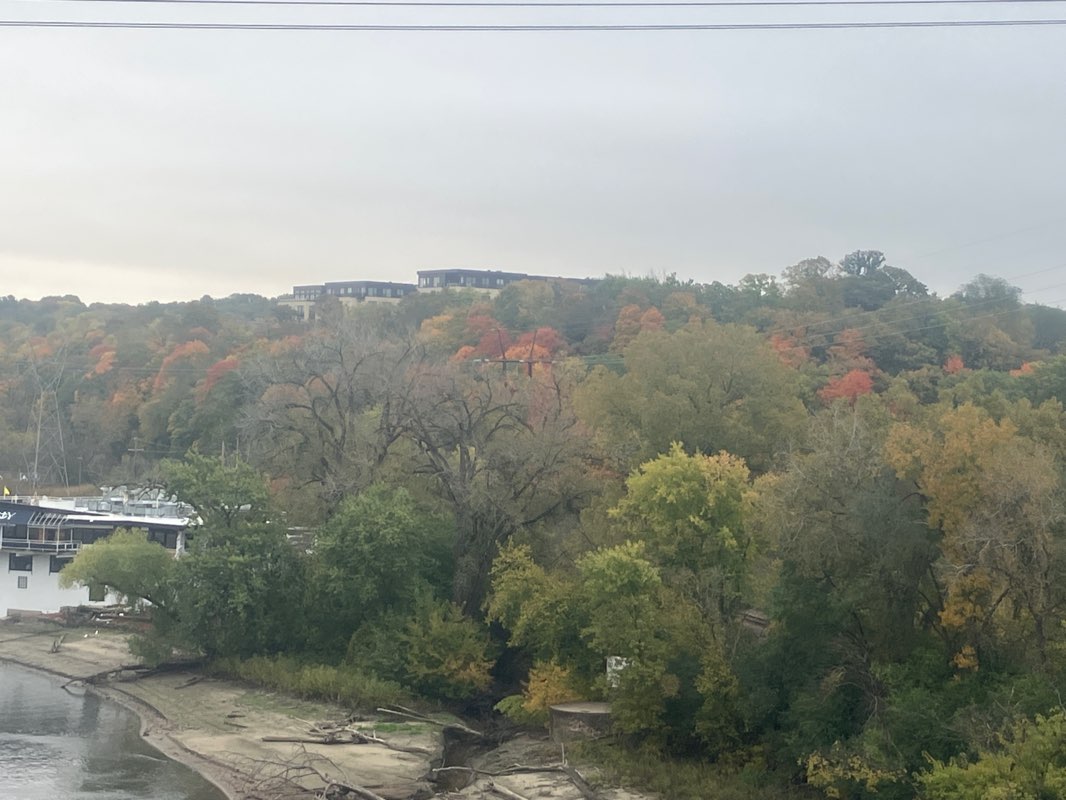 walking near me in Lilydale-Harriet Island Park in autumn