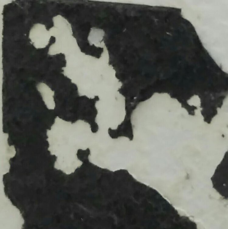 Vũ Văn Huy profile