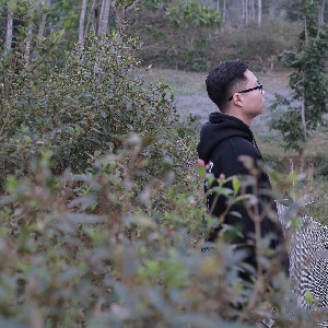 Phạm Quang Tiến profile