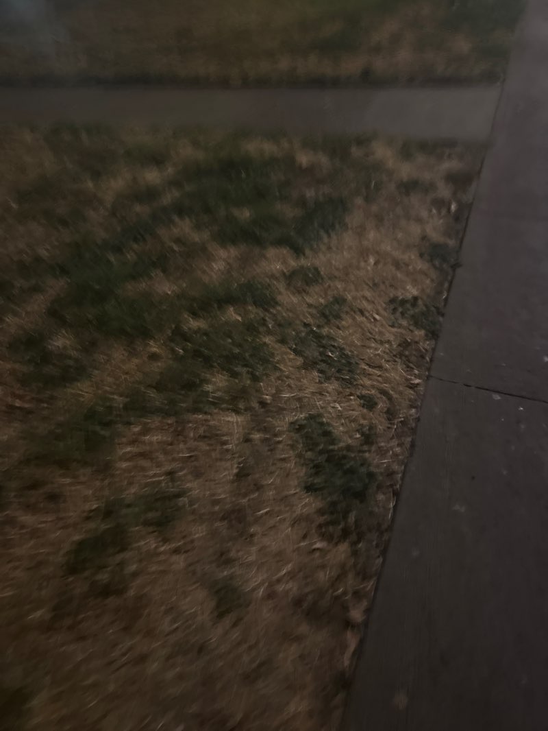 walking near me in O'Neil Park in summer